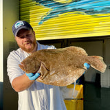 Market Pick - Brill 1kg