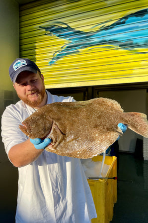 Mitch's Pick - Brill 1kg