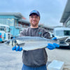 Market Pick - Sea Bass 1.9kg
