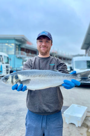 Mitch's Pick - Sea Bass 1.9 kg