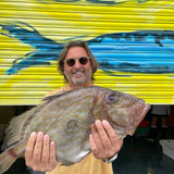 Market Pick - John Dory 1.9 kg