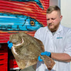 Market Pick - Turbot 1.3 kg