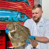 Market Pick - Turbot 1.3 kg