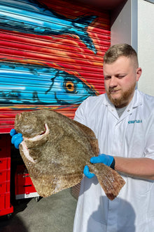 Market Pick - Turbot 1.4 kg