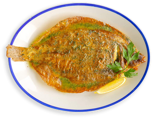 Sole Rack Fish Rockfish Seasonal Seafood Guide