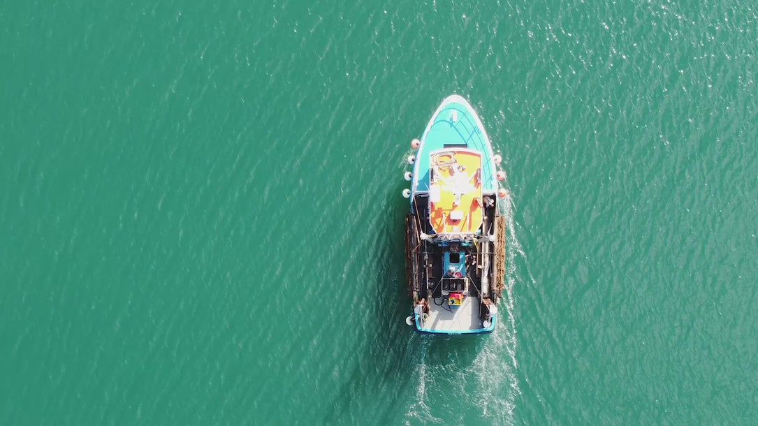 A short film showcasing how Rockfish serve fresh seafood to its Devon restaurants and deliver nationwide