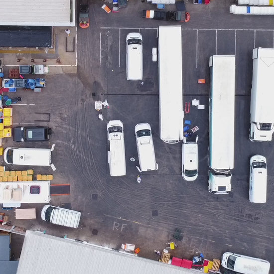 Brixham Fish Market tours