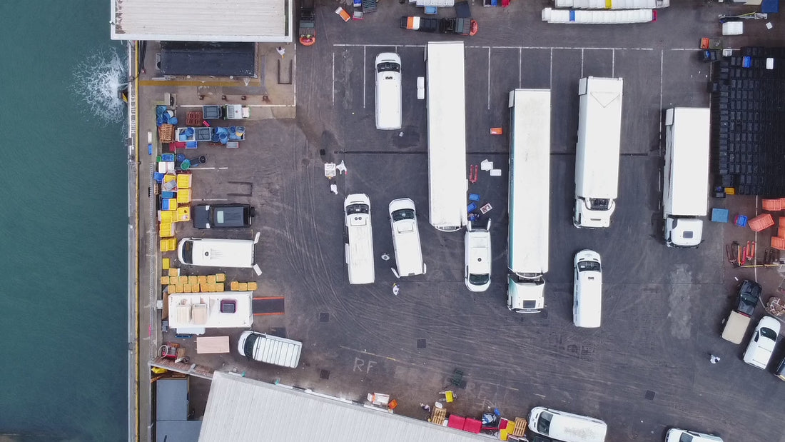 Brixham Fish Market tours
