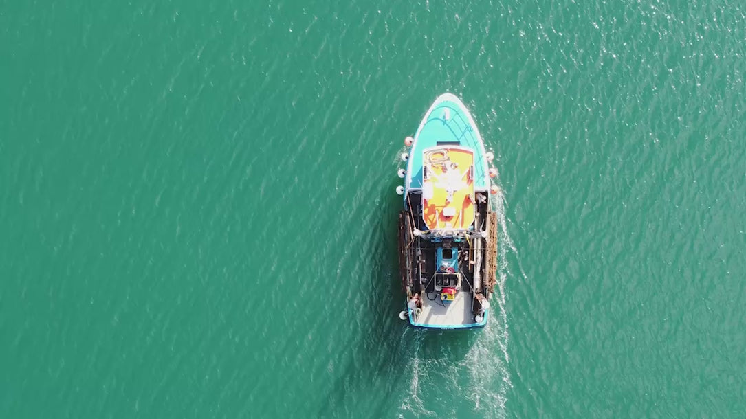 Shots summarising what Rockfish seafood restaurants and Online Seafood Market is all about