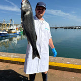 Prime Fish Sea Bass