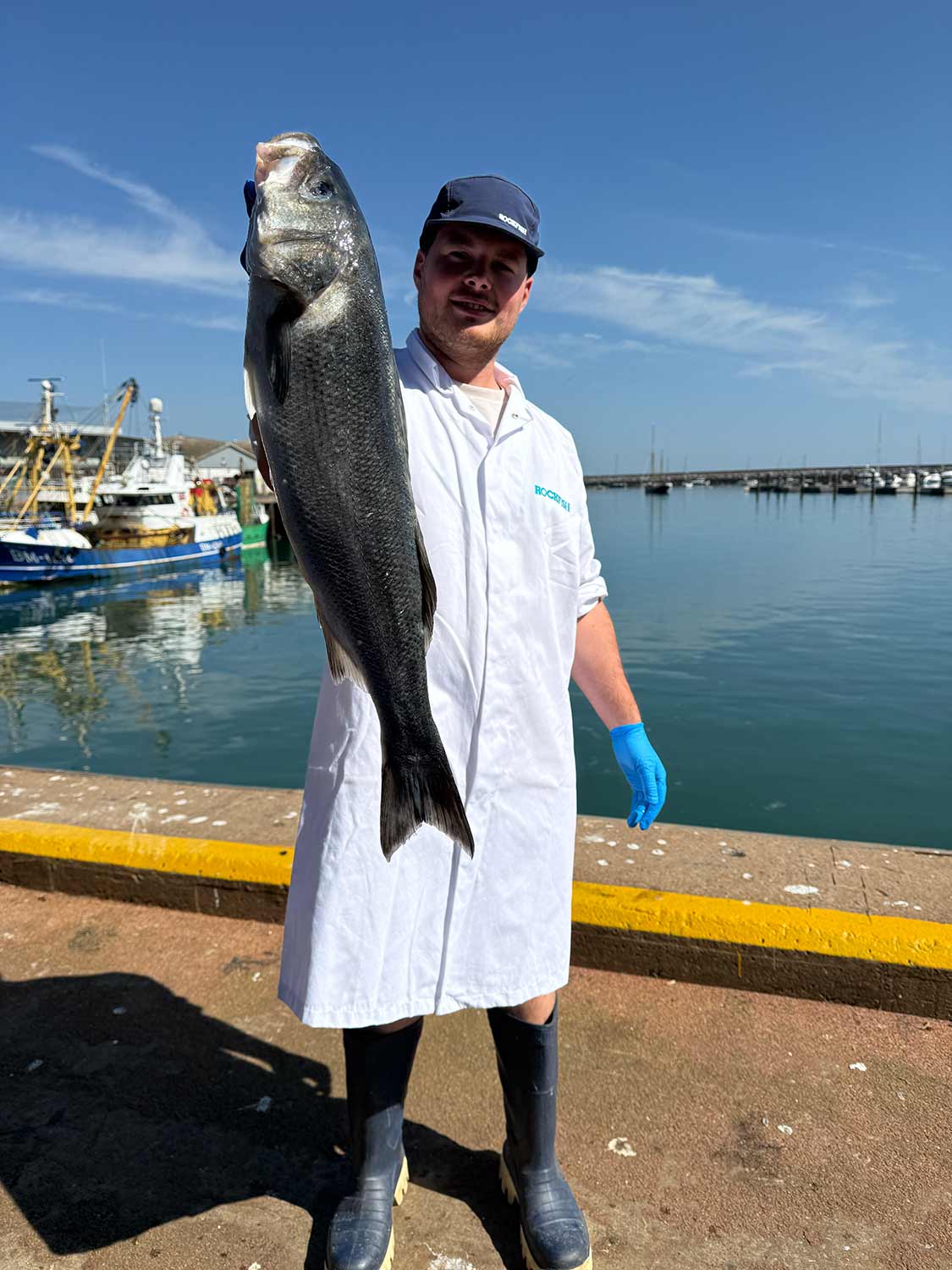 Prime Fish Sea Bass