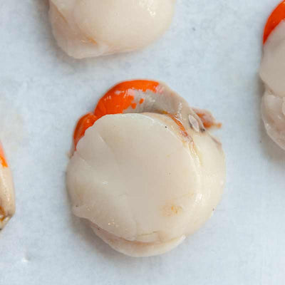 12 Disco Scallop Meat