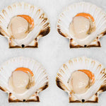 Scallops in the half shell - mobile