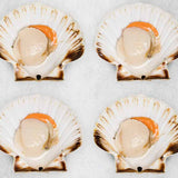 Scallops in the half shell - mobile
