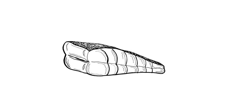 Fillet of fish icon