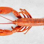 Whole cooked Lobster by Rockfish - mobile