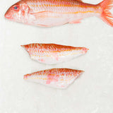 Frozen Red mullet fillets on ice