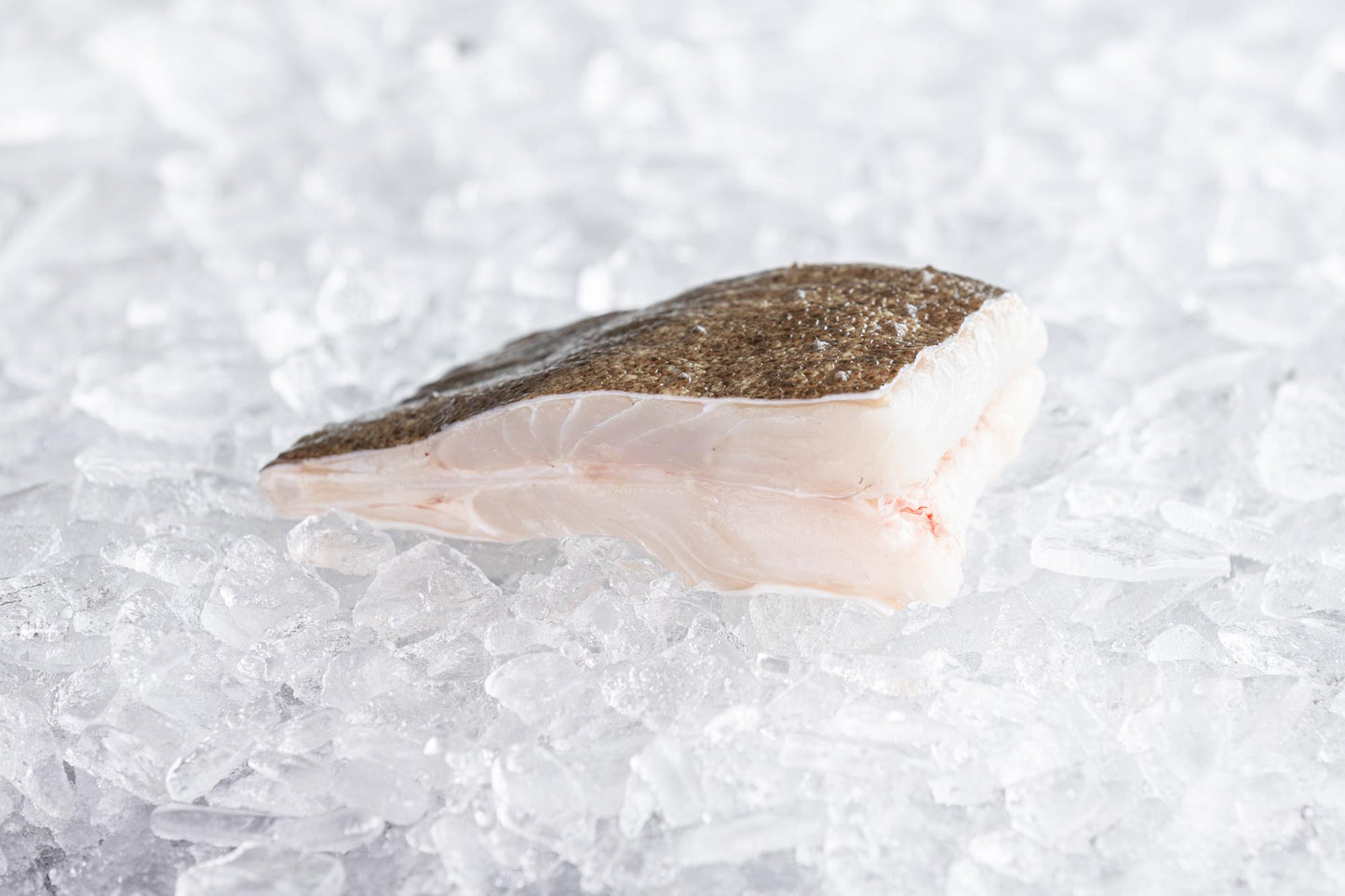 Turbot T-Bone - Frozen