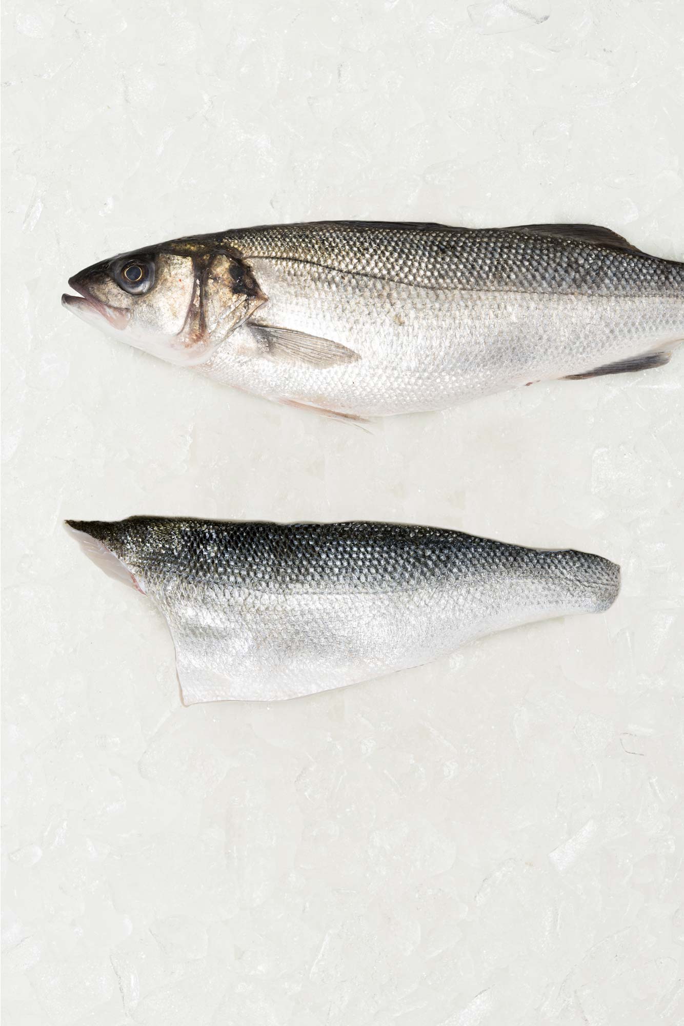 Frozen British Sea Bass fillet