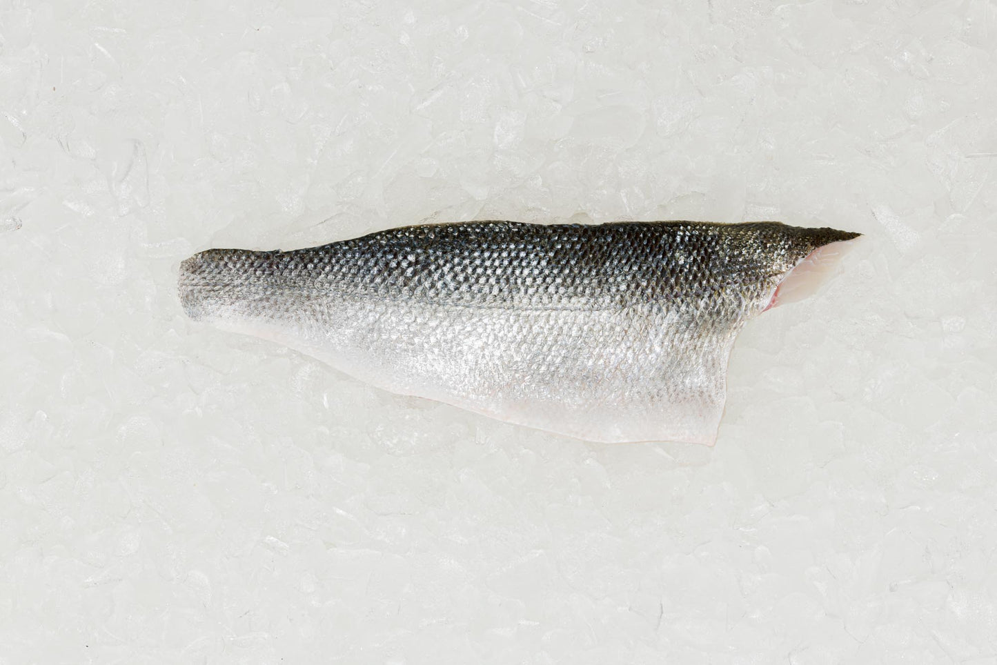 Frozen British Sea Bass fillet - mobile