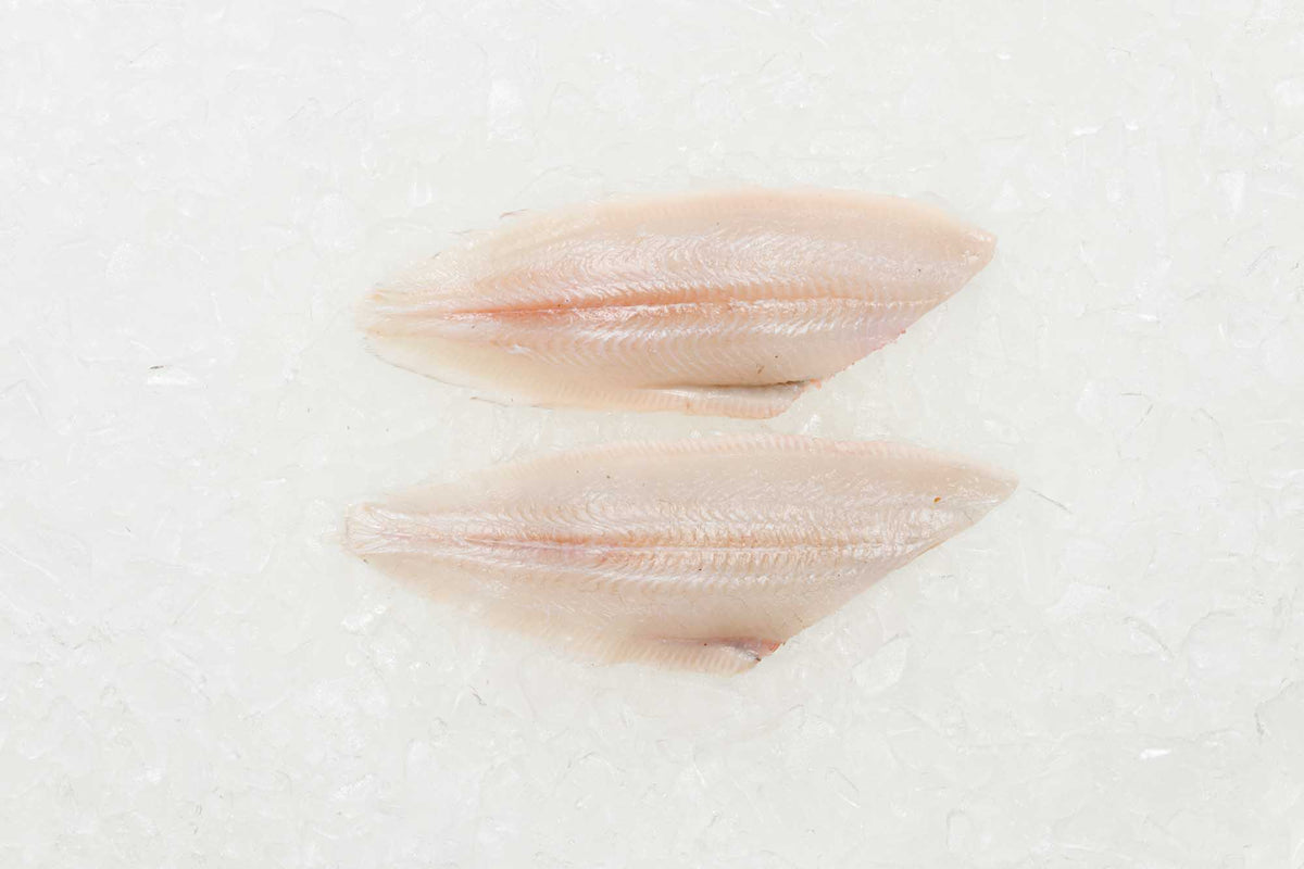 Sole Rack Fish Dover Soles - Frozen – Rockfish