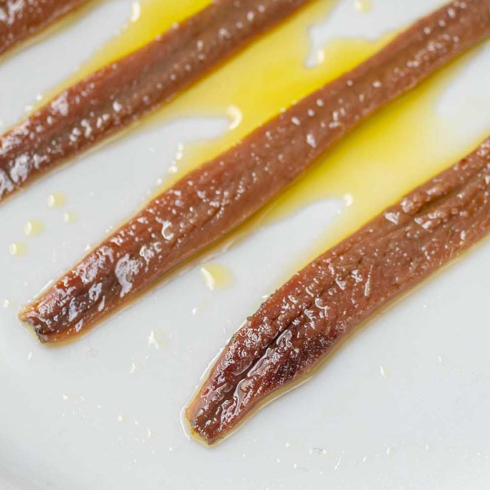 Mevalco/Don Bocarte Cantabrian Anchovies – Rockfish