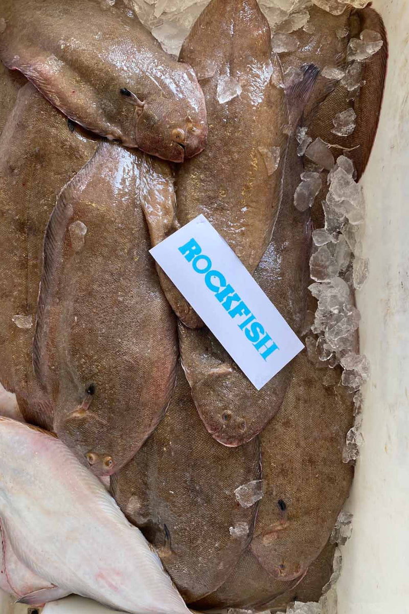 Sole Rack Fish Prime Dover Sole – Rockfish