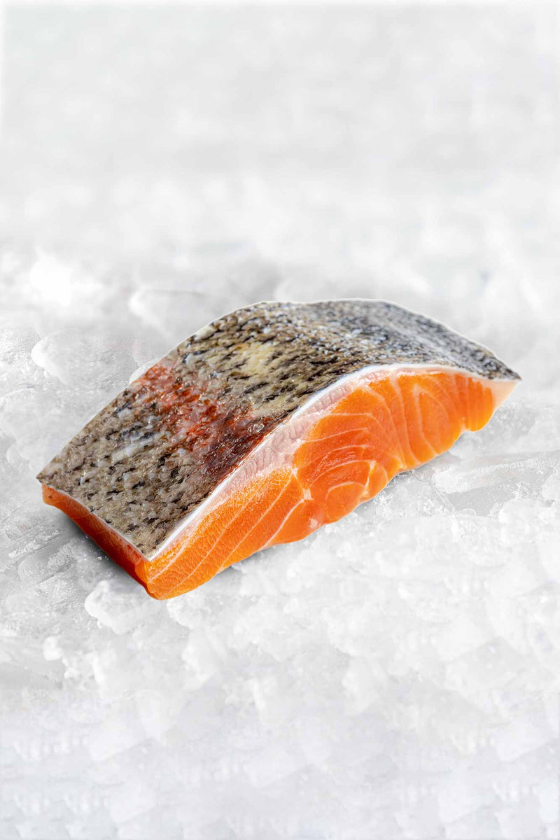 Chalk Stream Trout - Frozen – Rockfish