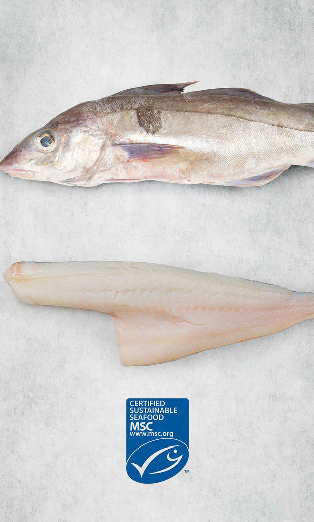 MSC - Haddock Fillet from Rockfish Online Seafood Market