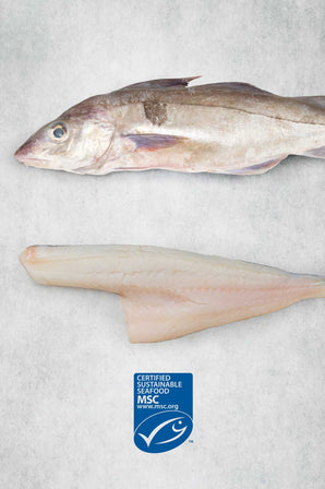 MSC - Haddock Fillet from Rockfish Online Seafood Market