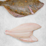 Fresh Plaice fillet prepared with tail and frill and skin removed 