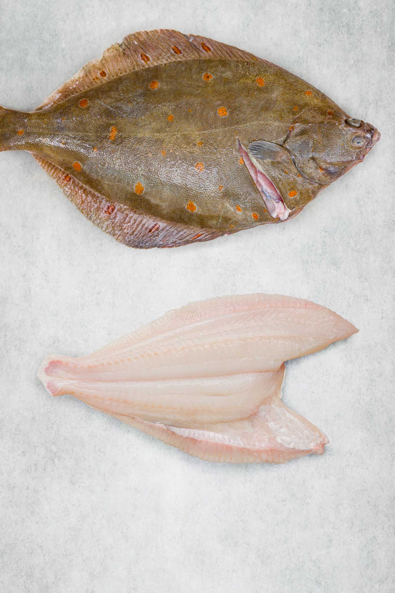 Fresh Plaice fillet prepared with tail and frill and skin removed 