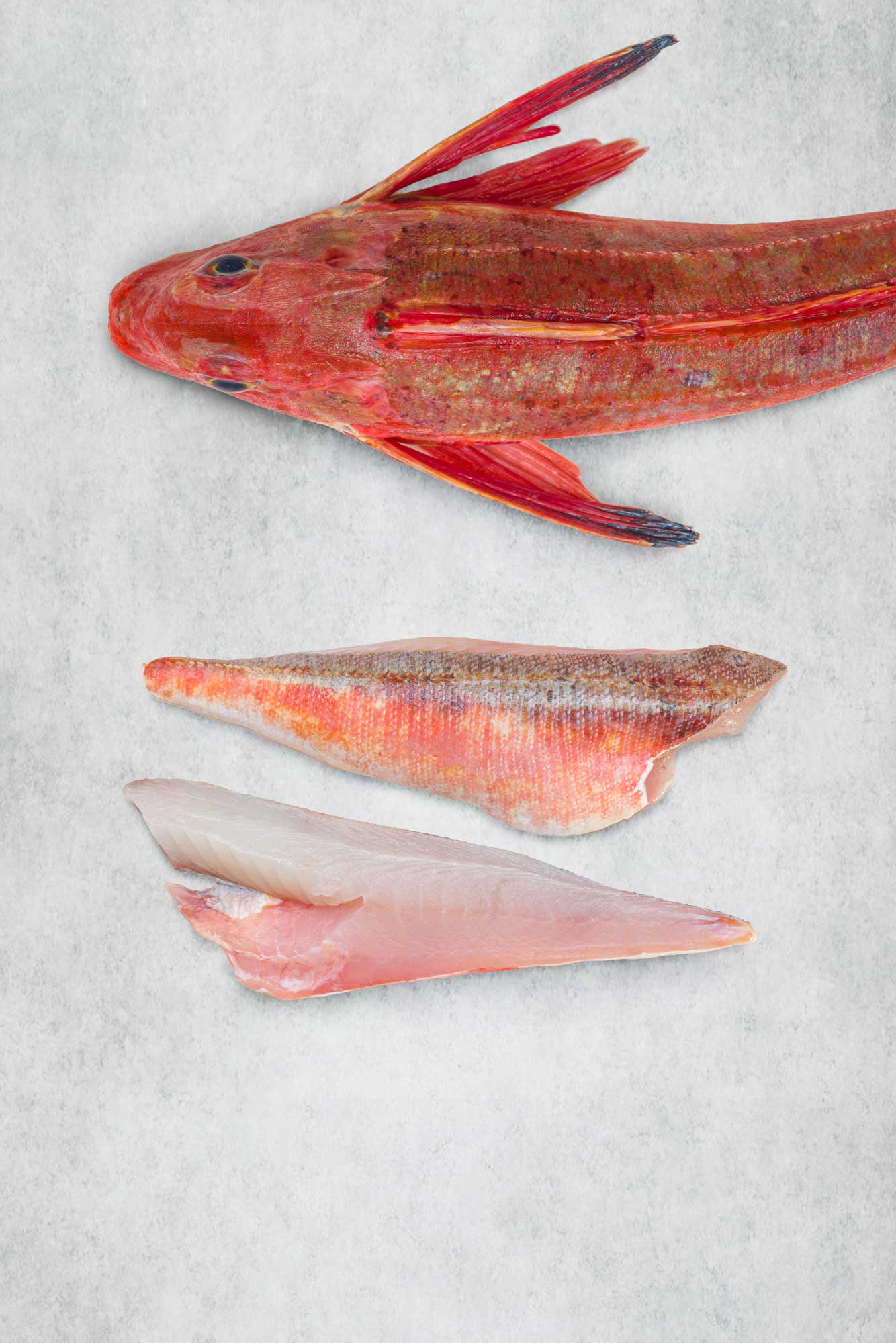 Gurnard 2 fillet portion from Rockfish