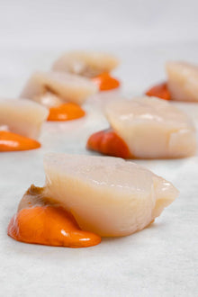 Diver Caught Scallops