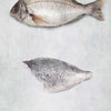 Black Bream Fillet