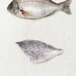 Black bream fillet from Rockfish
