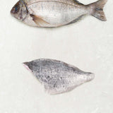Black bream fillet from Rockfish