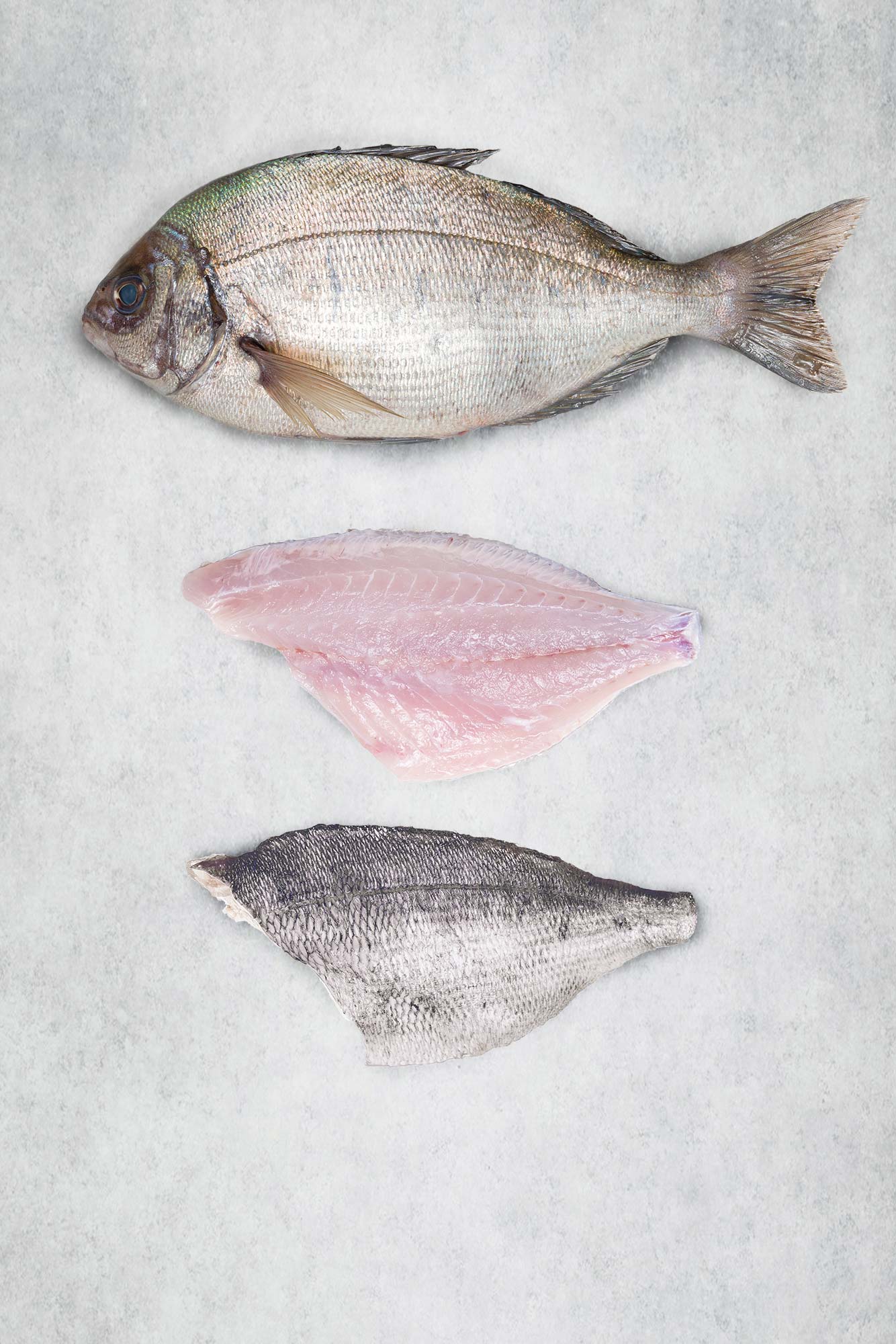 Black Bream - 2 Fillets