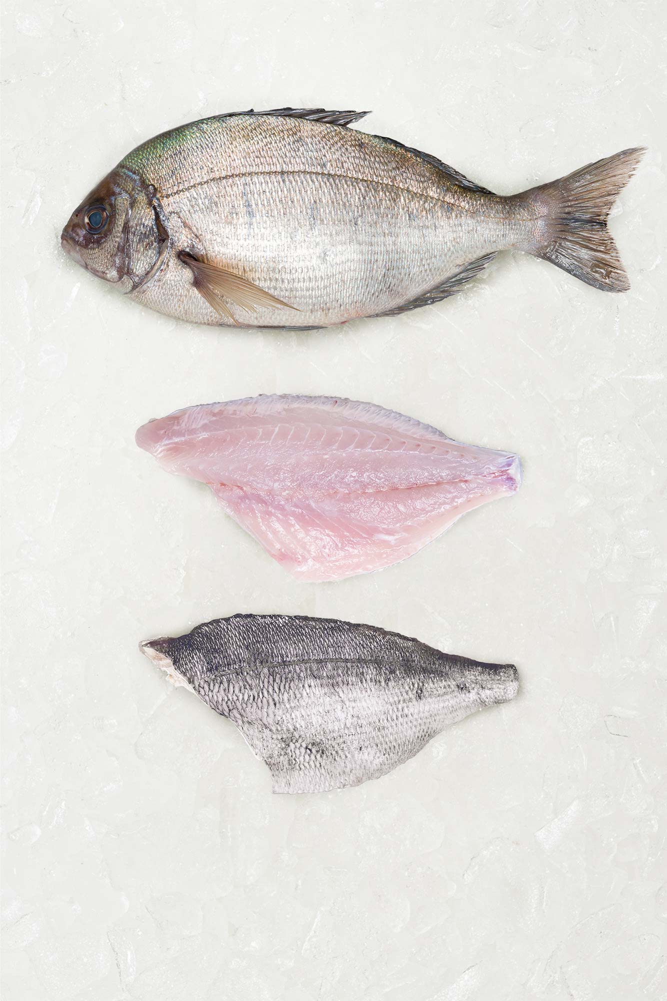 Black Bream - 2 Fillets - Frozen