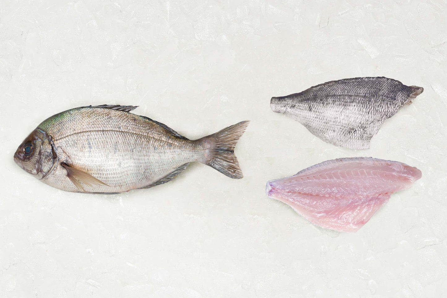 Black Bream 2 fillets - Rockfish seafood at home the online fishmonger portion - mobile