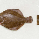 Frozen Brill T-Bone - Rockfish seafood at home the online fishmonger portion
