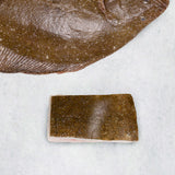 Brill T-Bone