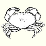 Whole Fresh Dressed Crab