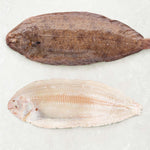 Frozen Dover sole 