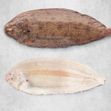 Prime Dover Sole
