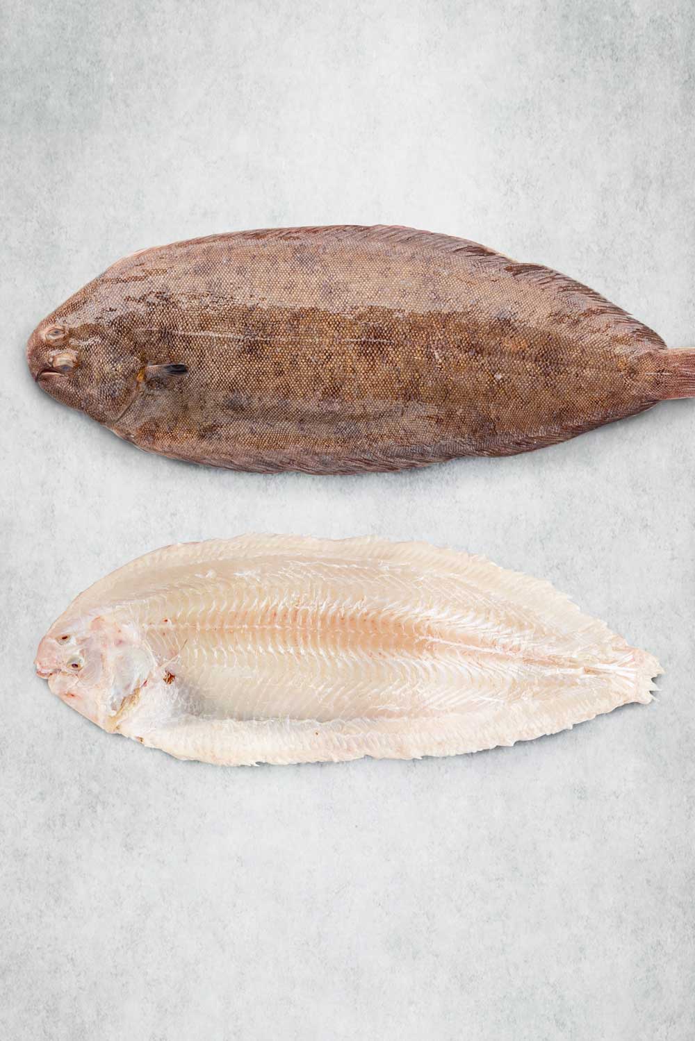 Prime Dover Sole