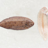 Prime Dover Sole - Rockfish seafood at home the online fishmonger portion - mobile