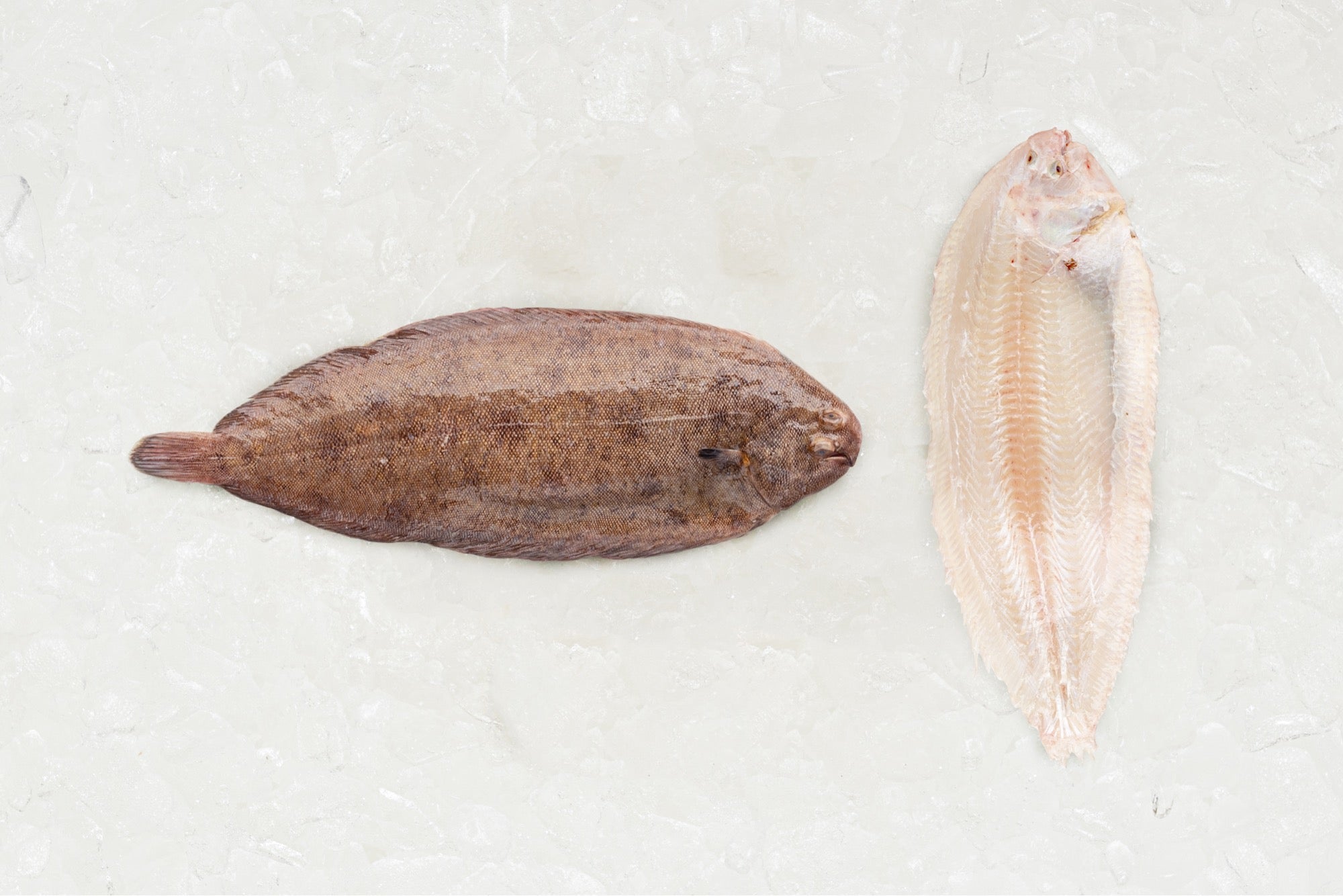 Sole Rack Fish Prime Dover Sole - Frozen – Rockfish