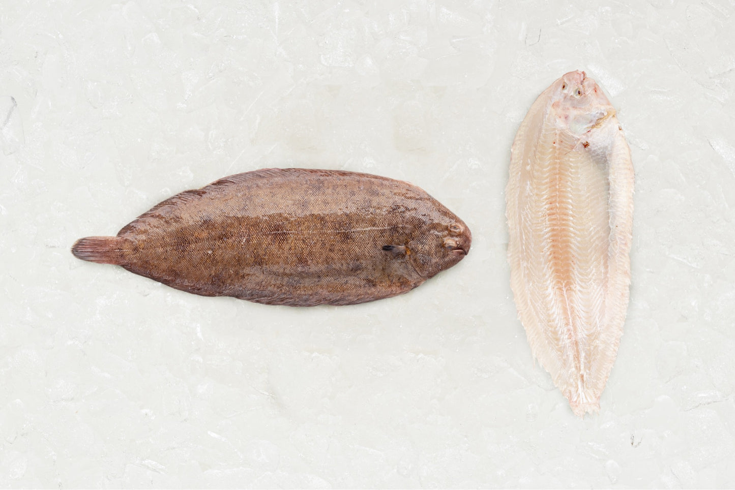 Prime Dover Sole - Rockfish seafood at home the online fishmonger portion - mobile