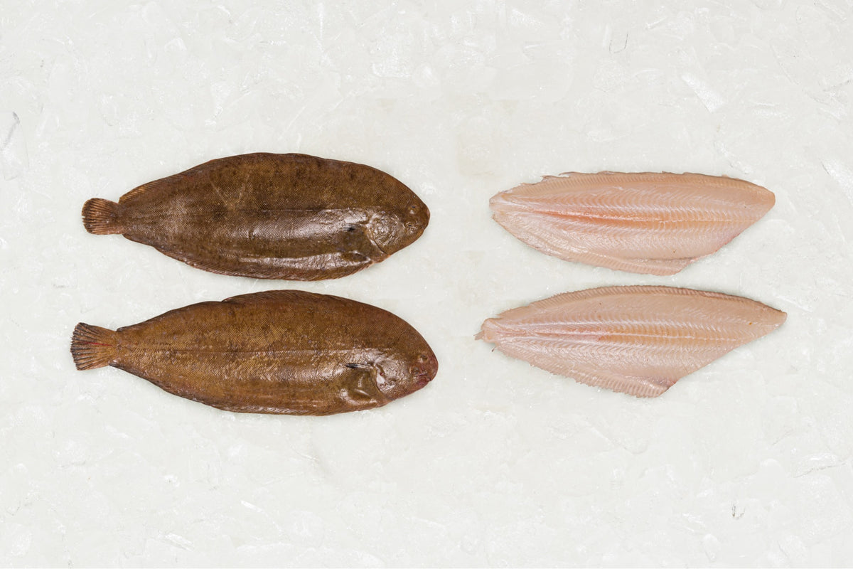 Sole Rack Fish Dover Soles - Frozen – Rockfish